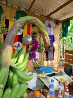 Banana Experience Uganda