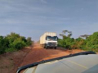 Gegenverkehr, Queen Elizabeth Nationalpark, Uganda