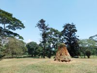Botanischer Garten Entebbe, Uganda
