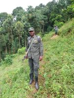 Ranger, Bwindi Impenetrable Nationalpark, Uganda