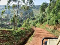Fahrt entlang des Bwindi Impenetrable Nationalpark, Uganda