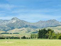 Tag 16 - Auf dem Weg zum Milford Sound