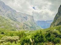 Tag 16 - Auf dem Weg zum Milford Sound