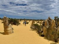 6. Tag: Ausflug in den Norden – Pinnacles Desert im Nambung-Nationalpark