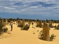 6. Tag: Ausflug in den Norden – Pinnacles Desert im Nambung-Nationalpark