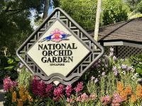 3. Tag: Stadtrundfahrt durch Singapur – Nationaler Orchideengarten im Botanischen Garten