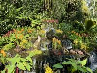 3. Tag: Stadtrundfahrt durch Singapur – Nationaler Orchideengarten im Botanischen Garten