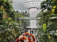 3. Tag: Stadtrundfahrt durch Singapur – The Jewel auf dem Changi Airport