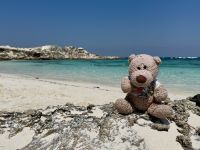 5. Tag: Tagesausflug auf die Rottnest Island – Fahrradtour – Max am Strand an der Parker Point Sanctuary Zone