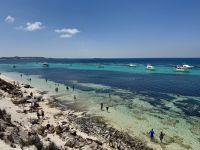 5. Tag: Tagesausflug auf die Rottnest Island – Fahrradtour – Porpoise Bay