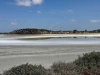 5. Tag: Tagesausflug auf die Rottnest Island – Fahrradtour – Salzsee im Inneren der Insel