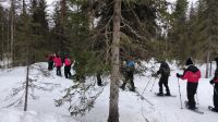 Schneeschuhwanderung durch den Winterwald