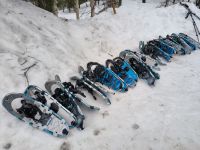 Finnland. Schneeschuhwanderung 