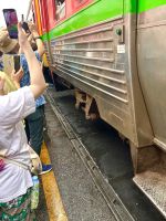 Bangkok - Maeklong Railway Market