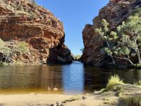 8. Tag: Ausflug in die West MacDonnell Ranges – Spaziergang zum Ellery Creek Big Hole