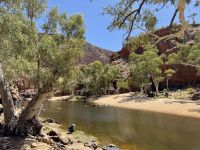 8. Tag: Ausflug in die West MacDonnell Ranges – Spaziergang zur Ormiston Gorge