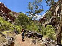 8. Tag: Ausflug in die West MacDonnell Ranges – Spaziergang zur Standley Chasm