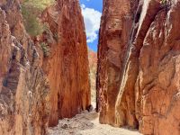8. Tag: Ausflug in die West MacDonnell Ranges – Spaziergang zur Standley Chasm