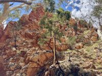 8. Tag: Ausflug in die West MacDonnell Ranges – Spaziergang zur Standley Chasm
