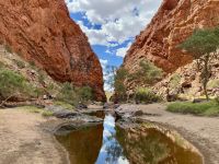 8. Tag: Ausflug in die West MacDonnell Ranges – Spaziergang zur Simpsons Gap