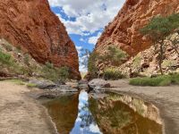 8. Tag: Ausflug in die West MacDonnell Ranges – Spaziergang zur Simpsons Gap
