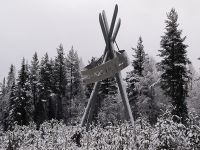 Polarkreis / Arctic Circle 