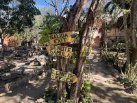 Cenoten von X´keken, Valladolid