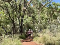 9. Tag: Von Alice Springs zum Kings Canyon – Kings Canyon Creek Walk