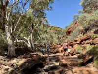 9. Tag: Von Alice Springs zum Kings Canyon – Kings Canyon Creek Walk