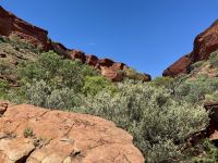 9. Tag: Von Alice Springs zum Kings Canyon – Kings Canyon Creek Walk