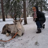 Finnland - auf der Rentierfarm