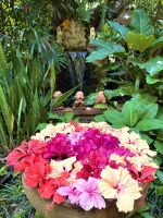 Thailand - Chainat Restaurant-Oase