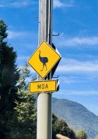 Tag 21 - Achtung Moa