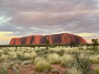 11. Tag: Sonnenaufgang am Uluru