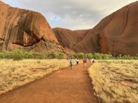 11. Tag: Erkundungen am Uluru – Spaziergang zum Mutitjulu-Wasserloch