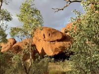 11. Tag: Erkundungen am Uluru – Spaziergang zum Mutitjulu-Wasserloch