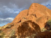 11. Tag: Erkundungen am Uluru – Spaziergang zum Mutitjulu-Wasserloch