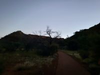 10. Tag: Morgenspaziergang am Kings Canyon (Kings Canyon Rim Walk)