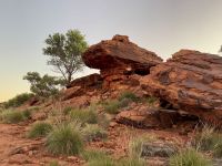 10. Tag: Morgenspaziergang am Kings Canyon (Kings Canyon Rim Walk)