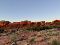 10. Tag: Morgenspaziergang am Kings Canyon (Kings Canyon Rim Walk)