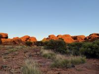 10. Tag: Morgenspaziergang am Kings Canyon (Kings Canyon Rim Walk)