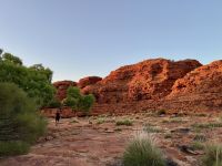 10. Tag: Morgenspaziergang am Kings Canyon (Kings Canyon Rim Walk)