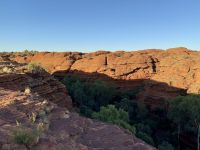 10. Tag: Morgenspaziergang am Kings Canyon (Kings Canyon Rim Walk)