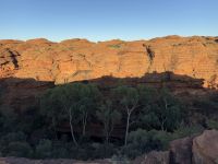 10. Tag: Morgenspaziergang am Kings Canyon (Kings Canyon Rim Walk)