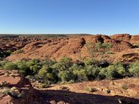 10. Tag: Morgenspaziergang am Kings Canyon (Kings Canyon Rim Walk)