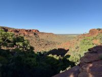 10. Tag: Morgenspaziergang am Kings Canyon (Kings Canyon Rim Walk)