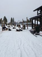 5. Tag - Husky Schlittentour