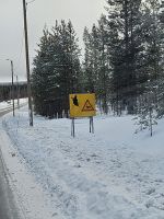 Tag 7 - auf dem Weg nach Salla (2)