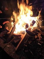 Tag 7 -  Rentiersafari in Salla (4)