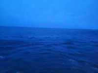 0605 Seetag